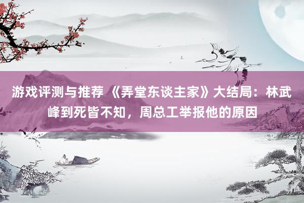 游戏评测与推荐 《弄堂东谈主家》大结局：林武峰到死皆不知，周总工举报他的原因