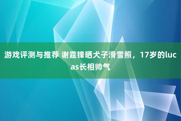 游戏评测与推荐 谢霆锋晒犬子滑雪照，17岁的lucas长相帅气